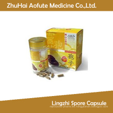 Lingzhi Spore cápsula para la venta